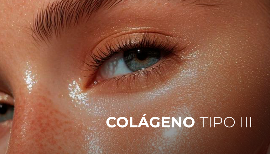 La inyección de diferentes concentraciones de colágeno recombinante humanizado tipo III en la dermis promueve la deposición de colágeno tipo III y tipo I, así como la angiogénesis
