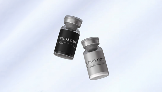 Renoxome+: exosomas de origen vegetal para regeneración y calidad de la piel