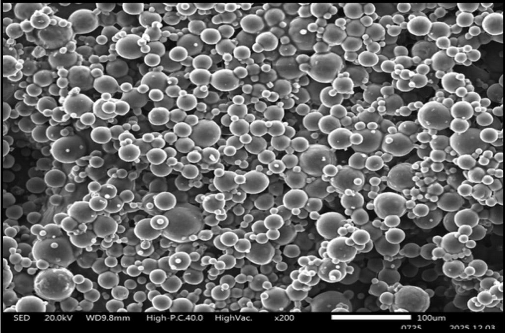 Microscopía SEM de partículas REVOLORÉ