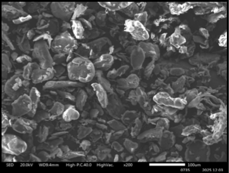 Microscopía SEM de partículas Sculptra